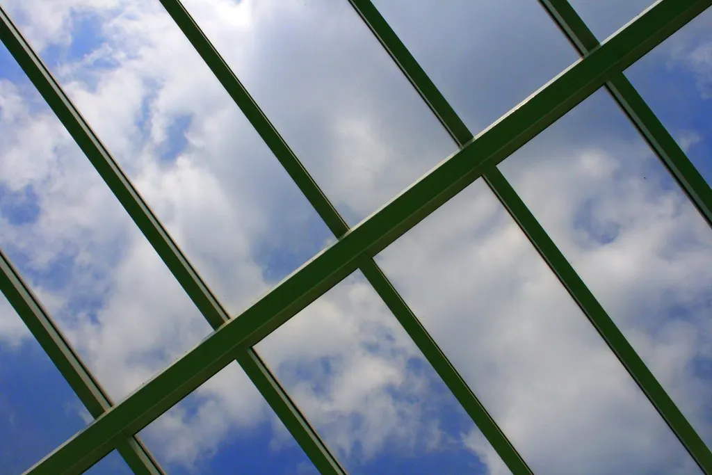 Project 365 #167: 160610 Things Are Looking Up